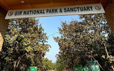 Gujarat Spiritual Heritage Tour