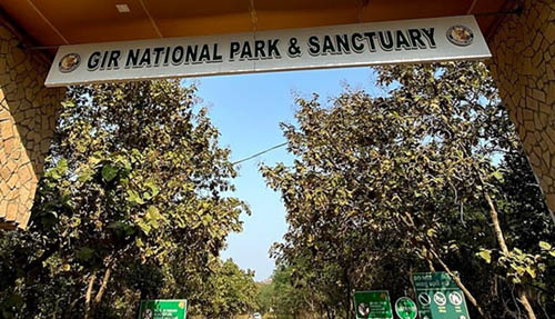 Gir National Park